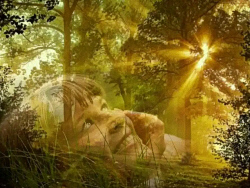 Chansons russes: De longues années l'amour dormait en moi, traduction www.russievirtuelle.com