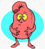 Le journal d'un estomac au régime