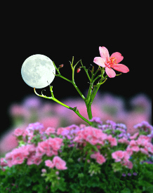 Chansons russes: La lune, la lune, traduction www.russievirtuelle.com