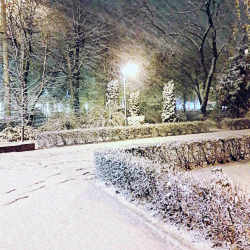 Chansons russes: Parc d'hiver, traduction www.russievirtuelle.com