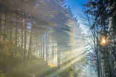 Chansons russes: Aurore-féerie traduction www.russievirtuelle.com