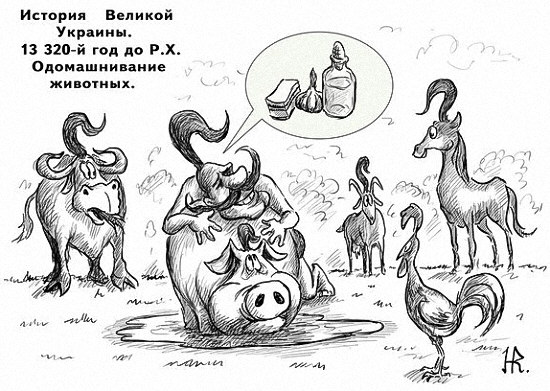 Grande Ukraine.Domestication d'animaux sauvages 