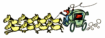 Жить на широкую ногу