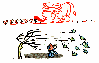 Как корова языком слизала