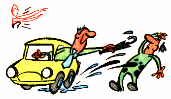 Красивый жест