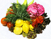 Recettes de cuisine russe: légumes - www.russievirtuelle.com